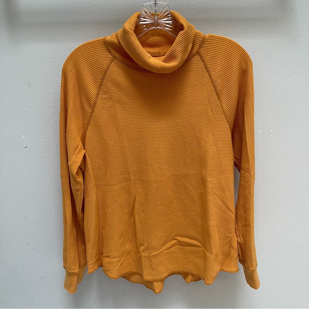 Everlane The Organic Cotton Turtleneck